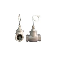 1 in NPT stainless steel flow switch